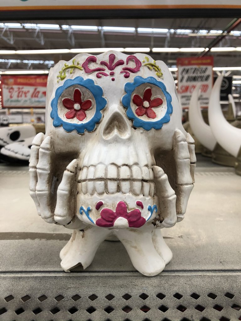 メキシコの祭日「死者の日」の骸骨メイク