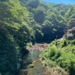 群馬県吾妻郡中之条町の尻焼温泉。川がそのまま温かい温泉となっている「川の湯」に入ってきた