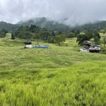 長野県上高井郡高山村の山田牧場で真夏の高原を堪能！かわいい牛たちと、おいしいアイスクリームも